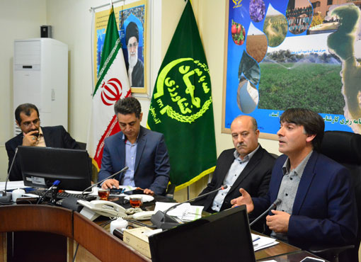 سهم ۴۵ درصدی بخش کشاوزی از منابع ۱.۵ میلیارد دلاری اشتغال و تولید در مناطق روستایی و عشایری